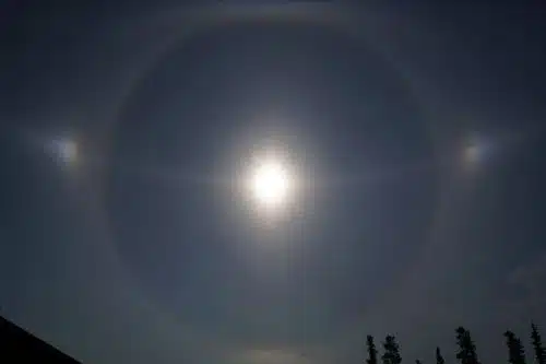 Issue 56, July 12, 2024